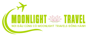 Logo Moonlight travels