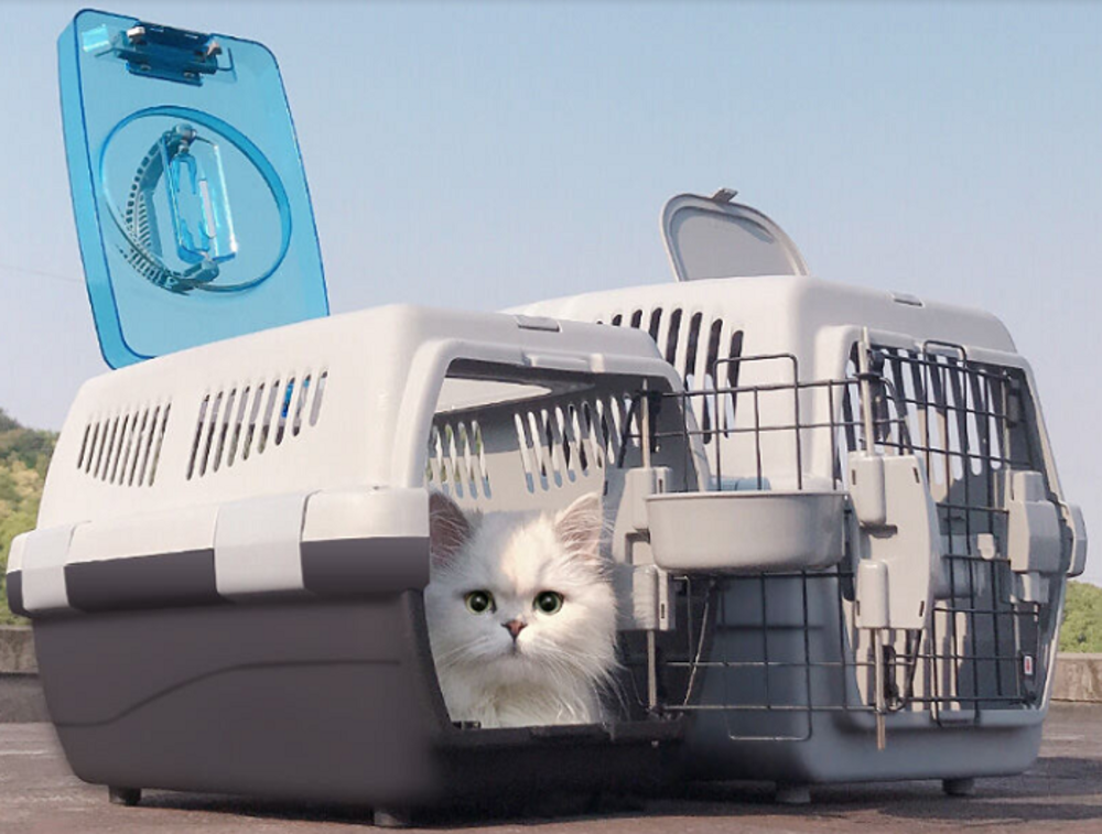 Cẩm nang du lịch cho người yêu động vật.