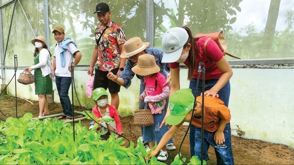 Du lịch nông trại: Trải nghiệm cuộc sống đồng quê.