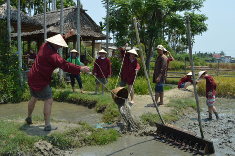 Du lịch nông trại: Trải nghiệm cuộc sống đồng quê.