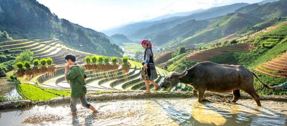 Gợi ý các tour du lịch có trách nhiệm với cộng đồng.
