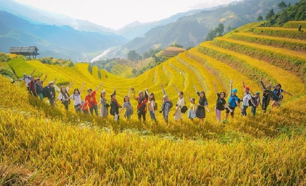 Kinh nghiệm du lịch Mù Cang Chải mùa lúa chín