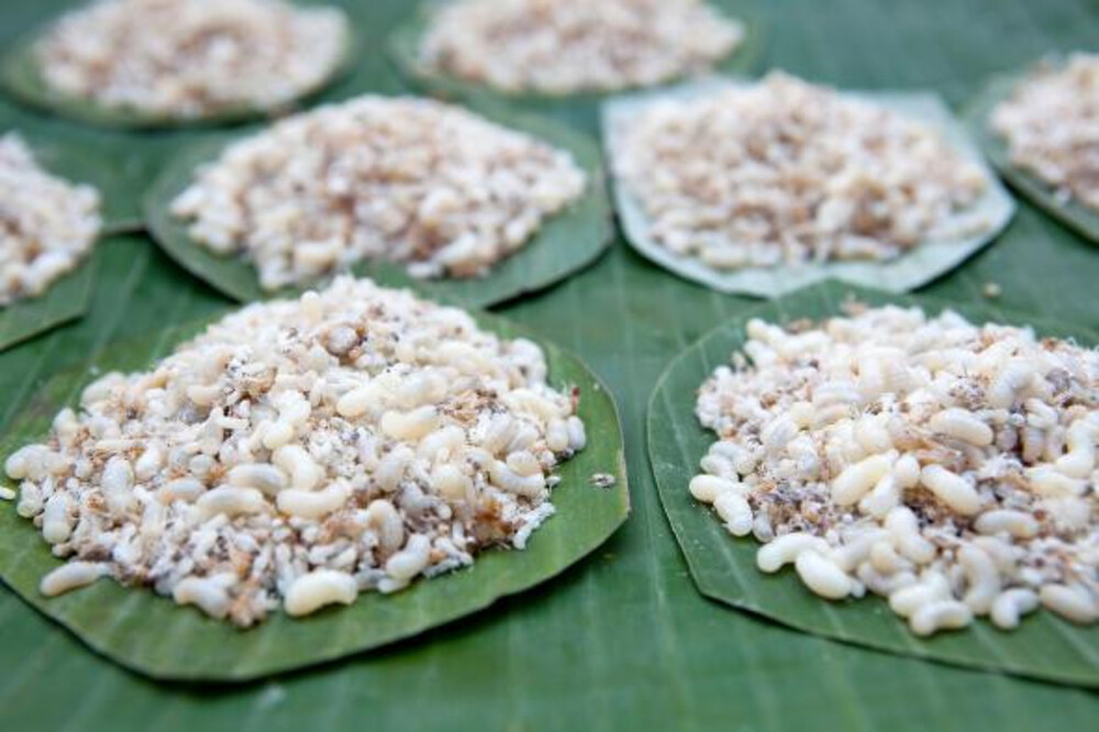 Những món ăn kỳ lạ nhất thế giới