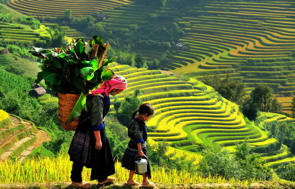 Tour Sapa 3 ngày 2 đêm Khám phá vẻ đẹp Tây Bắc