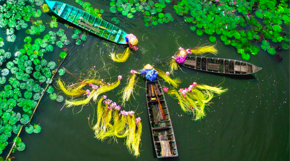Tour du lịch miền Tây Trải nghiệm sông nước miệt vườn