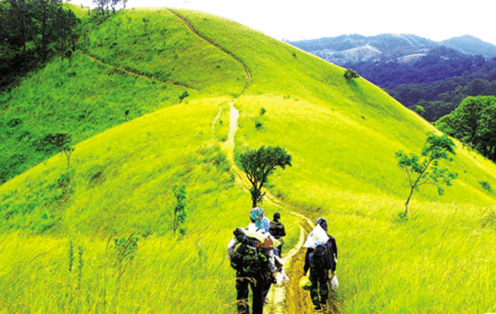 Tour trekking Tà Năng - Phan Dũng Thử thách dành cho dân phượt