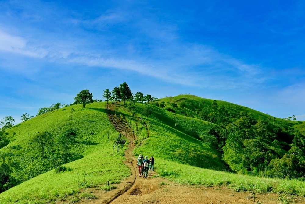 Tour trekking Tà Năng - Phan Dũng Thử thách dành cho dân phượt