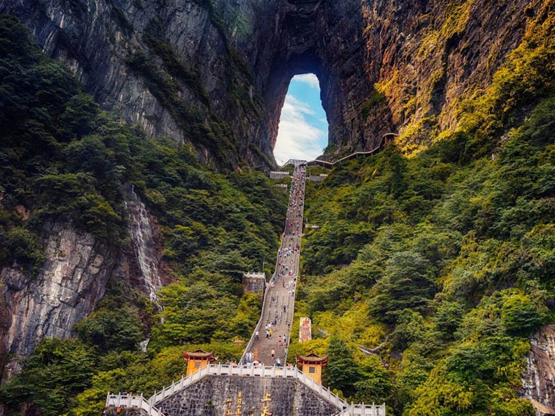 phuong hoang co tran