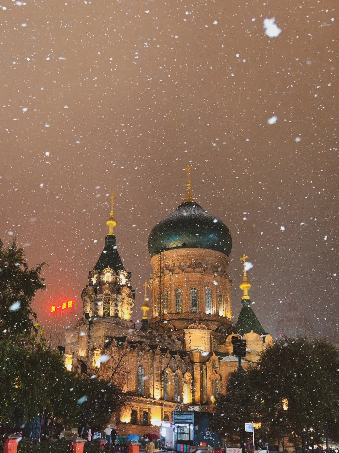 cap-nhi-tan-tuyet-dau-mua