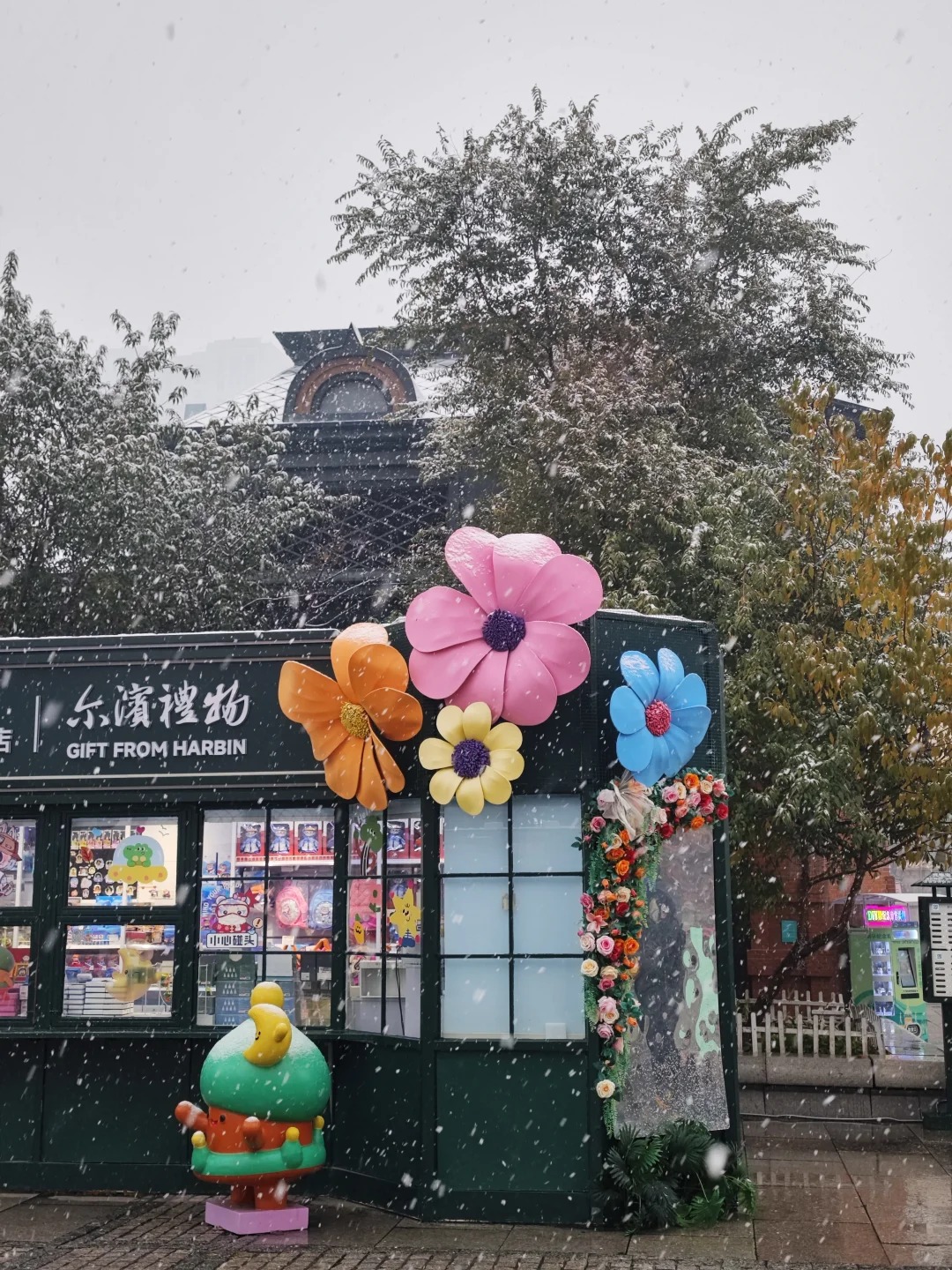 cap-nhi-tan-tuyet-dau-mua