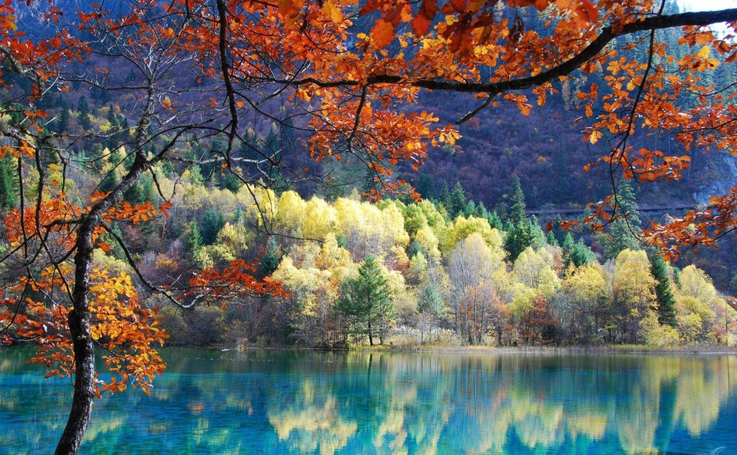 Cửu Trại Câu Trung Quốc tại tỉnh Tứ Xuyên