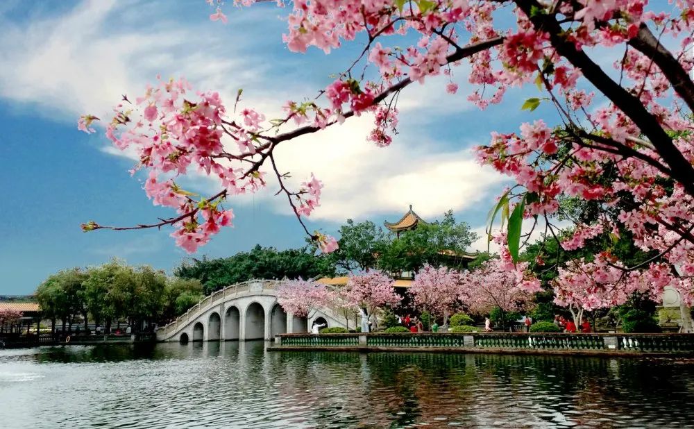 Không khí ôn hòa và sắc xuân của Côn Minh khi du lịch Trung Quốc dịp Tết Nguyên Đán cùng các danh thắng nổi bật