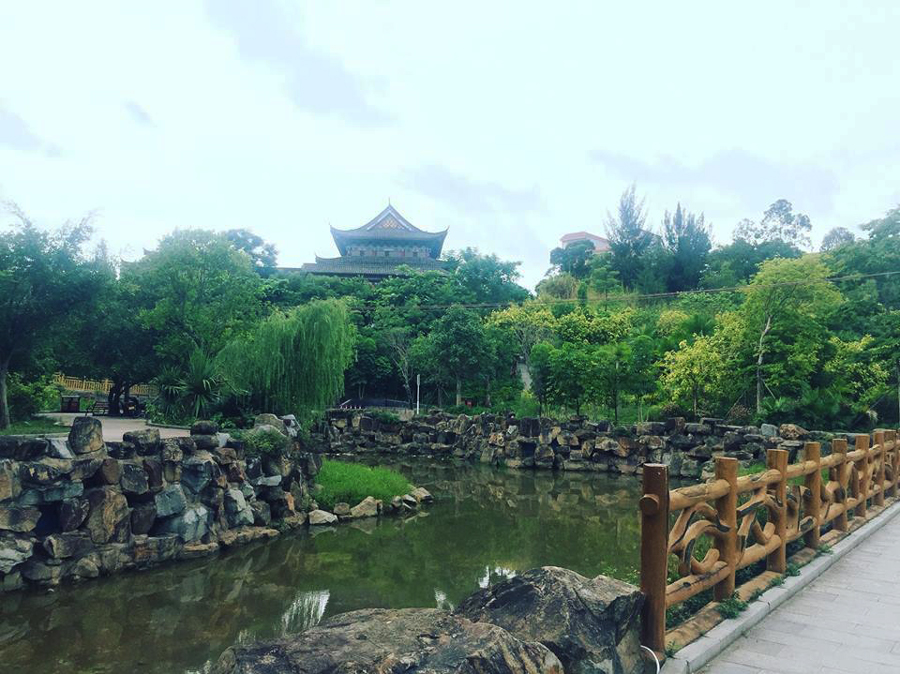 Toàn cảnh Đông Hưng Trung Quốc