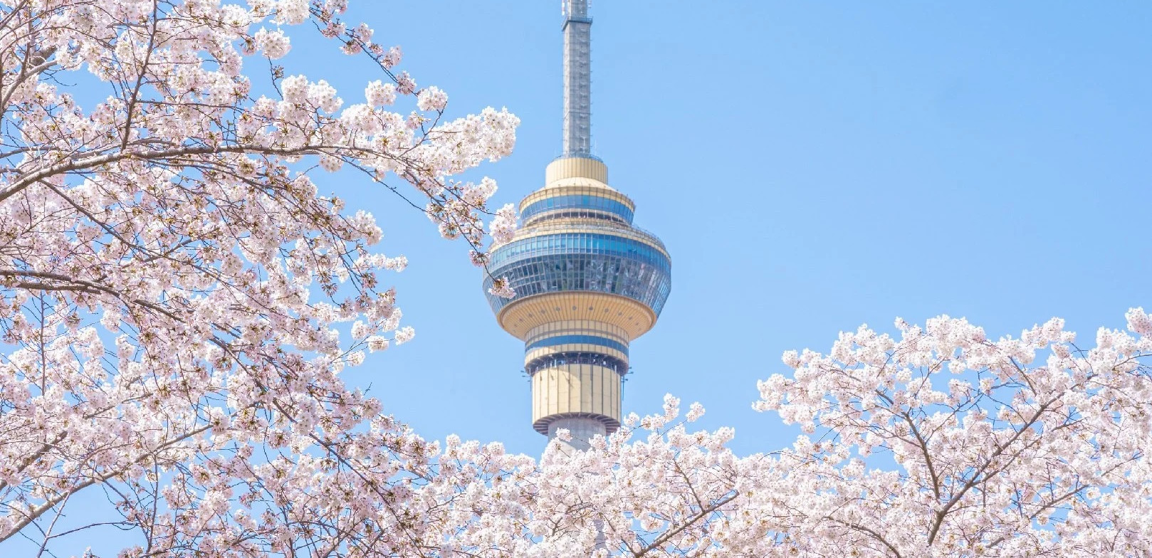 Địa Điểm Du Lịch Thượng Hải Nổi Tiếng