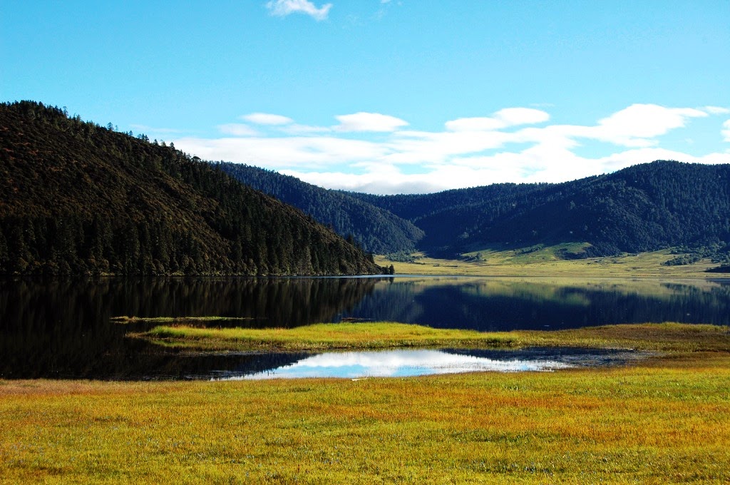 Sắc vàng mùa thu trên cao nguyên Shangrila